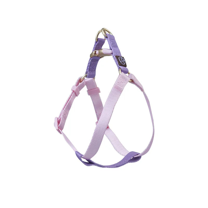 Pet Shop All Bulldog Frances Puppy Choker Collar Dog Leash Breastplates Lead Set Harness No Pull Pets Accessories for Small Dogs