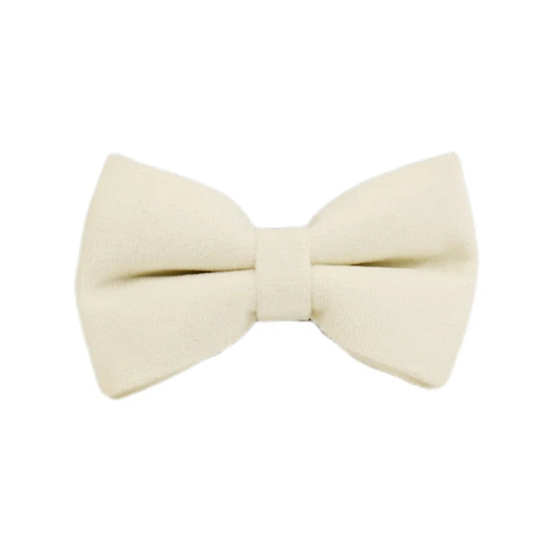 Milky white Velvet Dog Collar And Leash Set For Dogs Custom Engraved Nameplate Pet Supplies Dog Leash Velvet 14