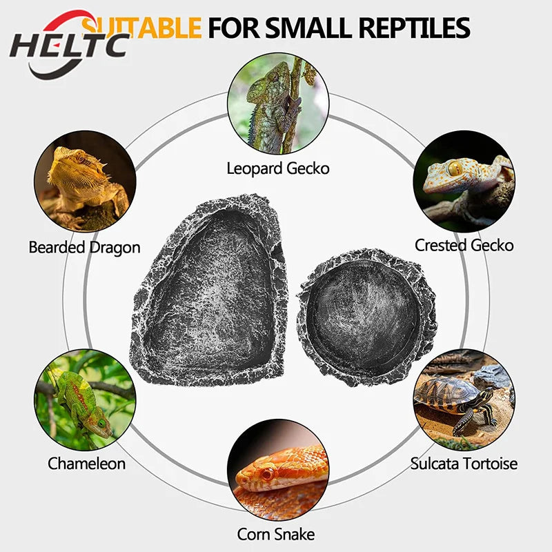 Imitation Stone Bowl Reptile Pet Feeding And Water Bowls Safe And Durable Ideal For Bearded Dragons And Other Small Reptiles