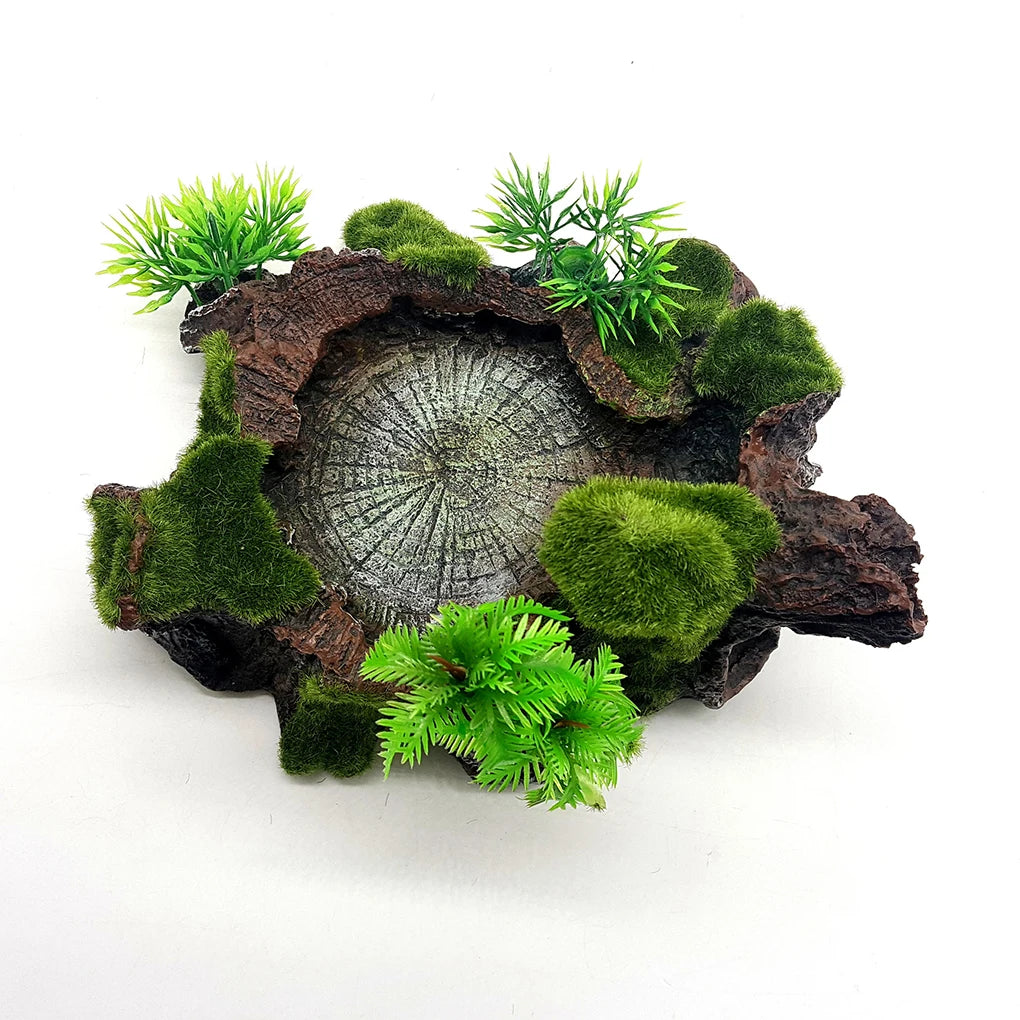 Multifunctional Reptile Resin Bowl For Food And Water Any Reptile Reptile Food Water Dish Decorative