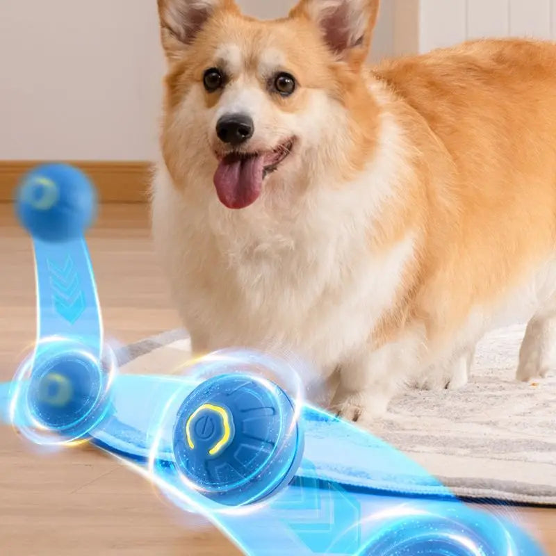 Electric Smart Pet Toy Ball Interactive Game Gravity Sensor Automatic Bouncing Bite-resistant Light Rechargeable LED Cat Dog Toy