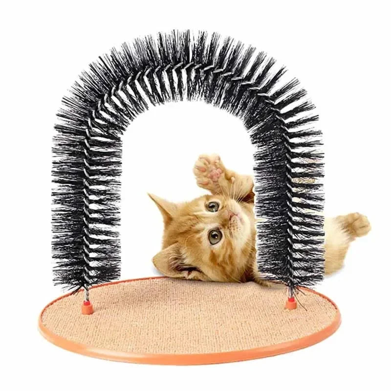 Cat scratch Arch