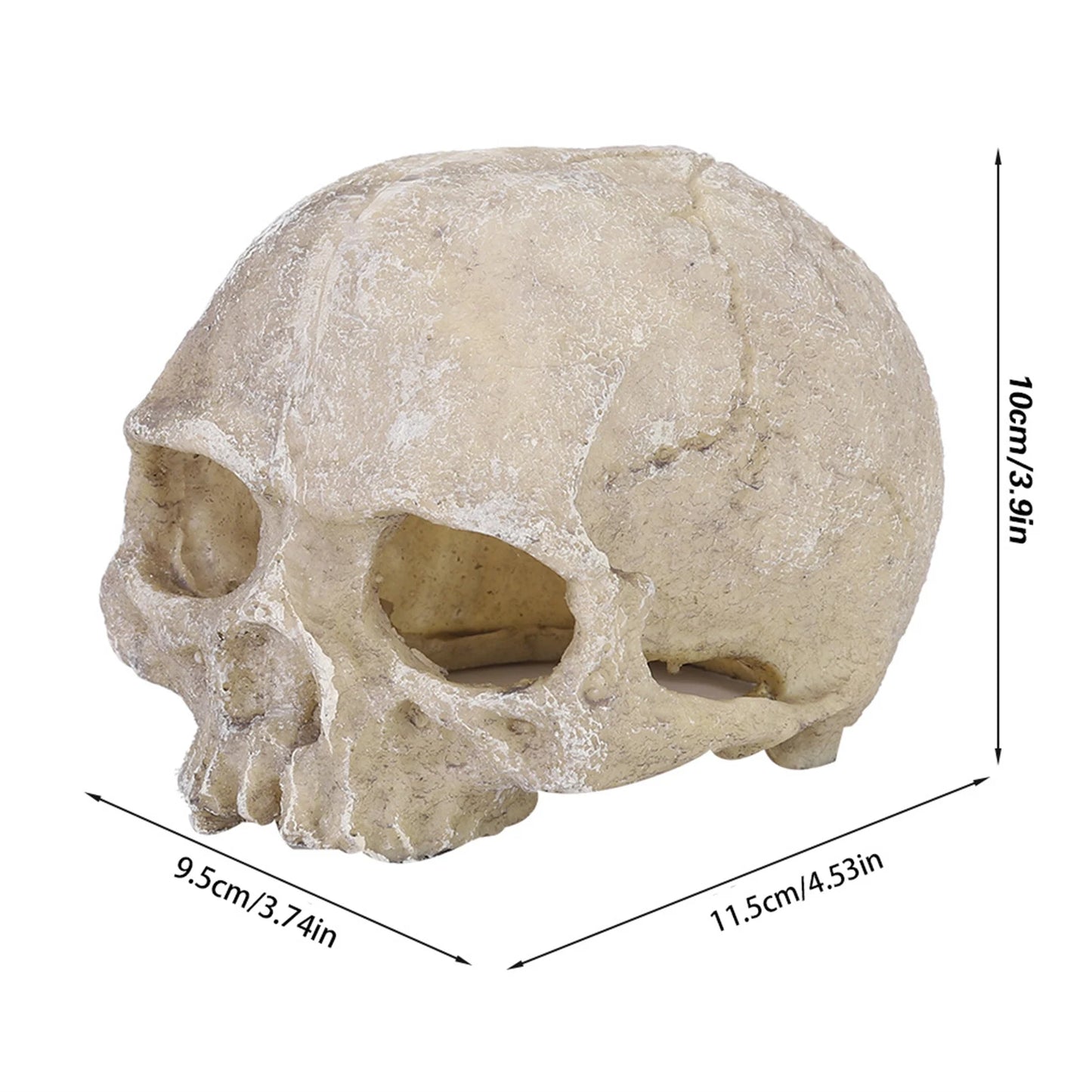 TOPINCN Skull Hideout Resin Statue Reptile Cave Decor