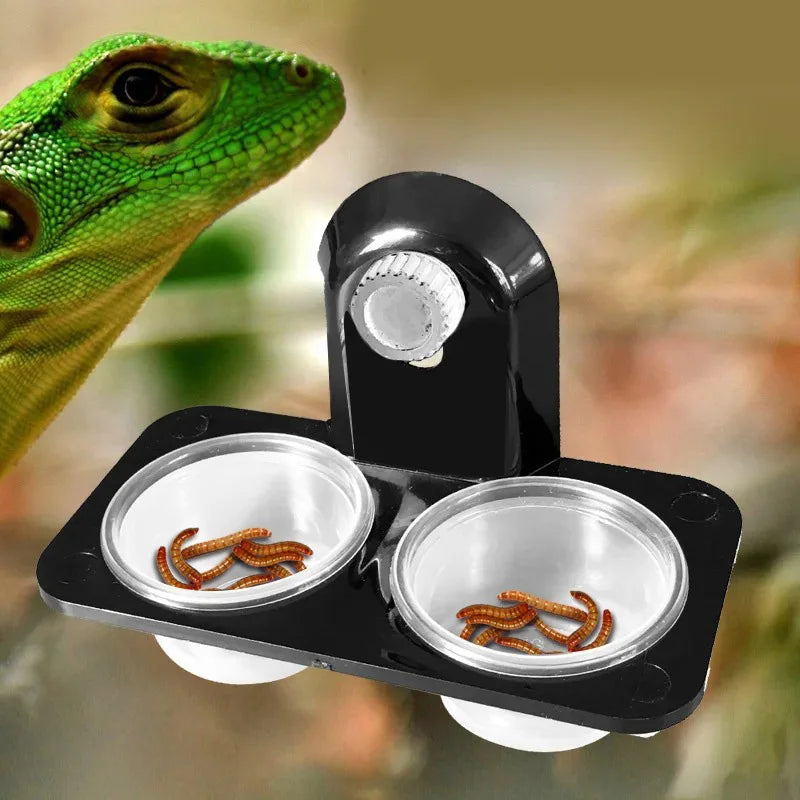 Reptile Feeding Bowl & Breeding Box