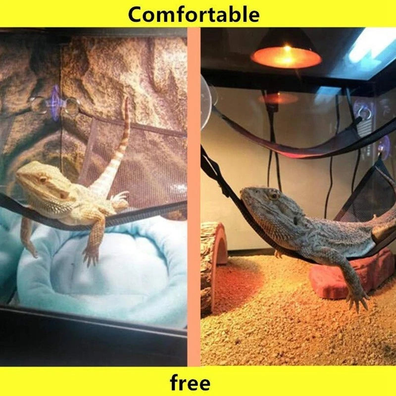 Reptile Hammock Lounger & Ladder Set