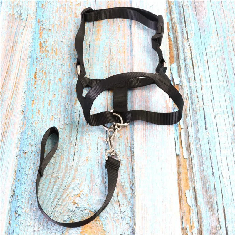 Dog Training Muzzle Muzzle, Dog Mouth and Nose Ring Training, Dog Anti-impact Pull, Dog Leash, Dog Walking Pet Supplies
