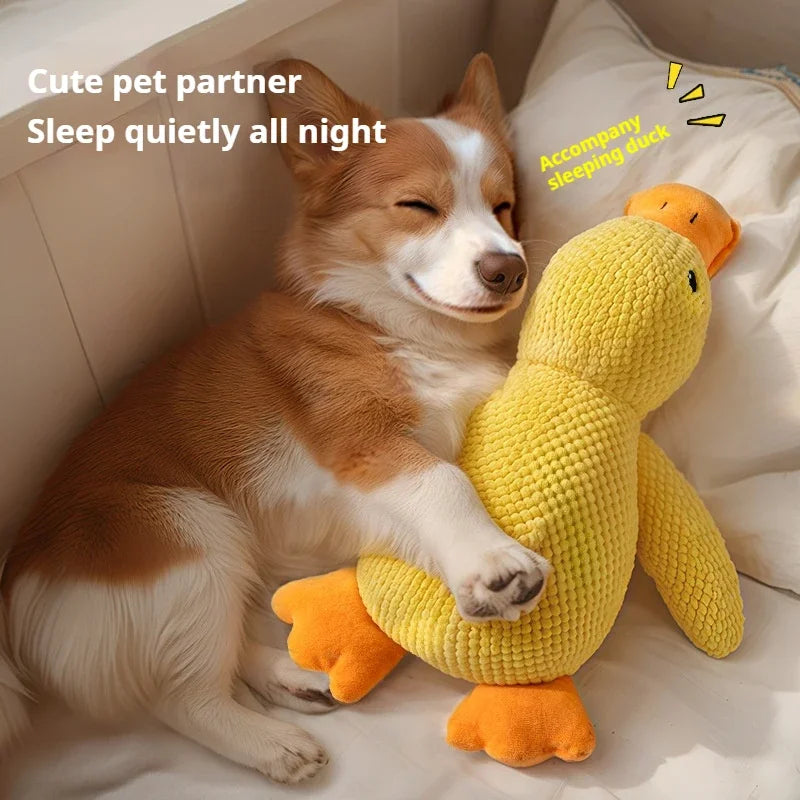 Plush Duck Dog Toy with Sound
