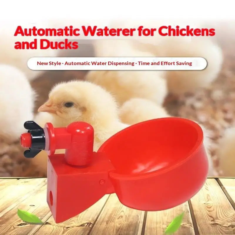 Chicken Drinking Bowl Poultry Automatic Water Dispenser Pigeon Automatic Water Dispenser Small Chick Feeding Bowl Chicken Coop
