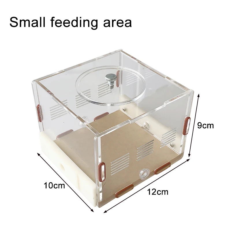 Acrylic Ant Farm Unlimited Expansion.