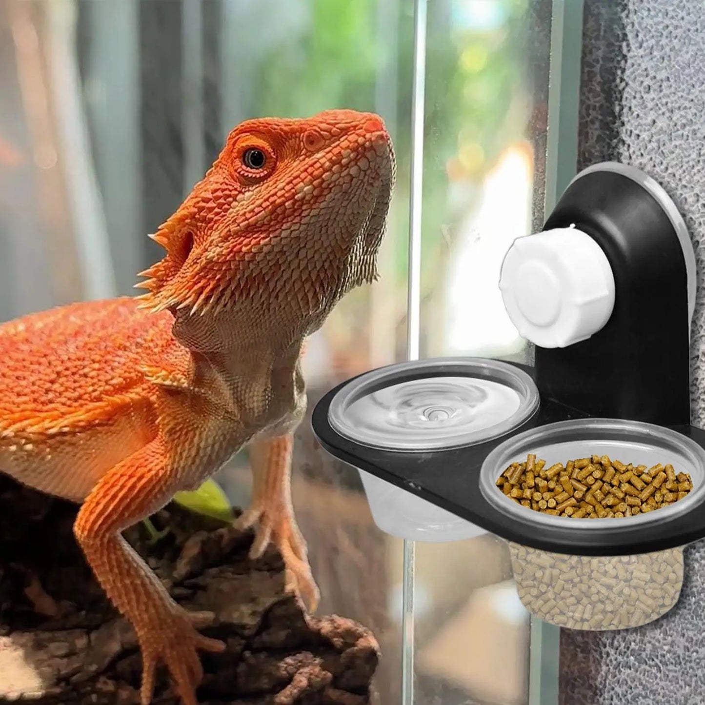 Reptile Tank Accessories Insect Spider Ants Nest Snake Gecko Food Water Feeding Bowl Terrarium Breeding Feeders Box Pets Supplie