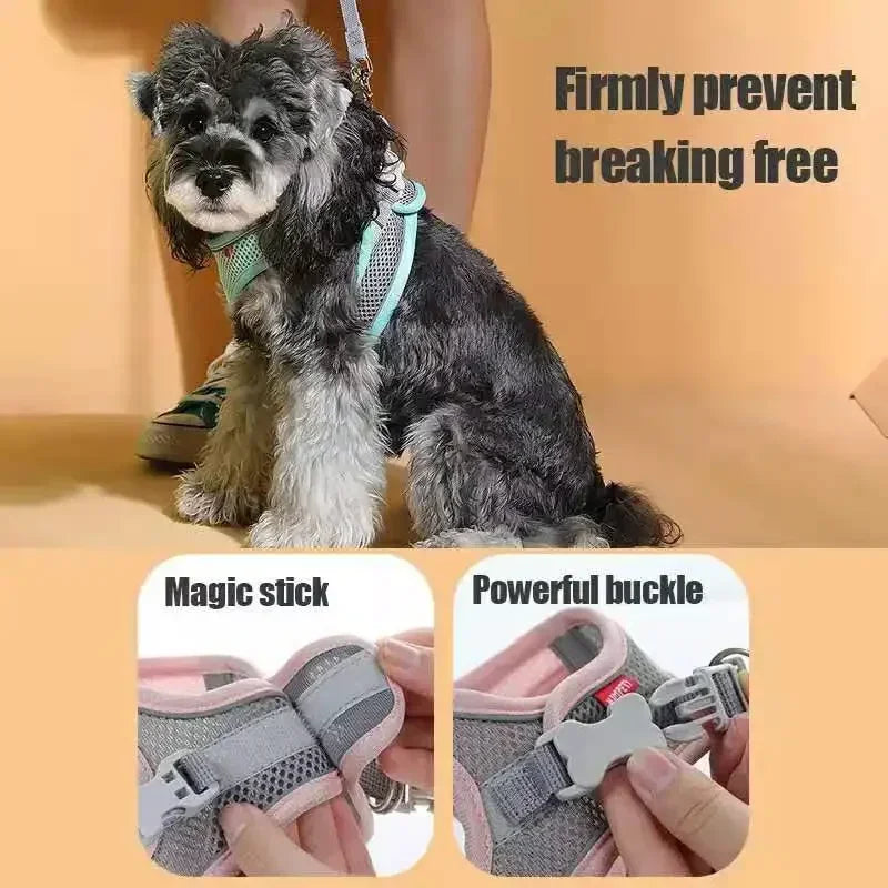 Small Dog/Cat Harness