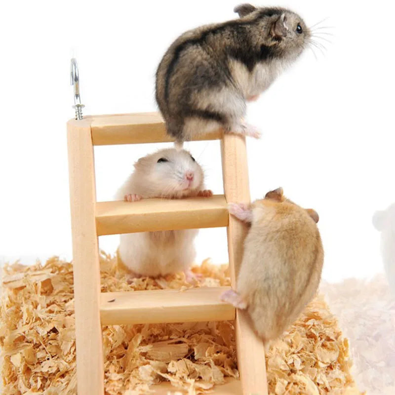 WoodlandWhiskers Wooden Ladder For Hamsters And Small Pets 15cm By 6.5cm - Natural Color Durable Wood Accessory