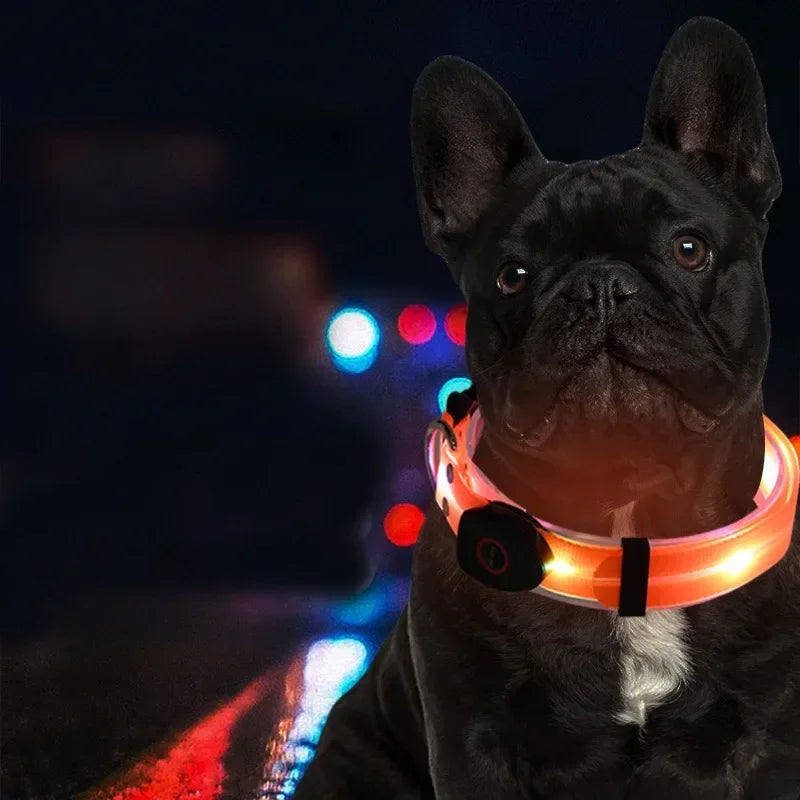Nighttime Luminous Collar and Traction Rope Pet Collar with Nylon Webbing Dog Leash with Night To Prevent Getting Lost Cat Chain