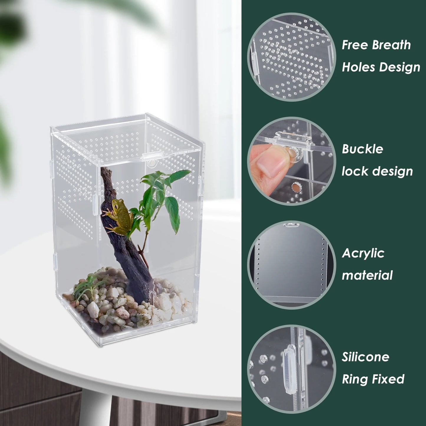 Reptile Feeding Box Acrylic Transparent Terrarium Habitat Insect Spider Lizard Scorpion Bearded Dragon Breeding Arboreal Cage