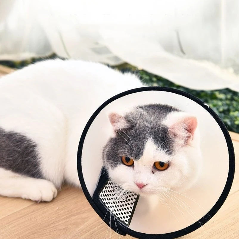 Pet Dog And Cat Collar Large Dog Medium Dog Small Dog Bite Ring Anti-scratching Collar Recovery Collar