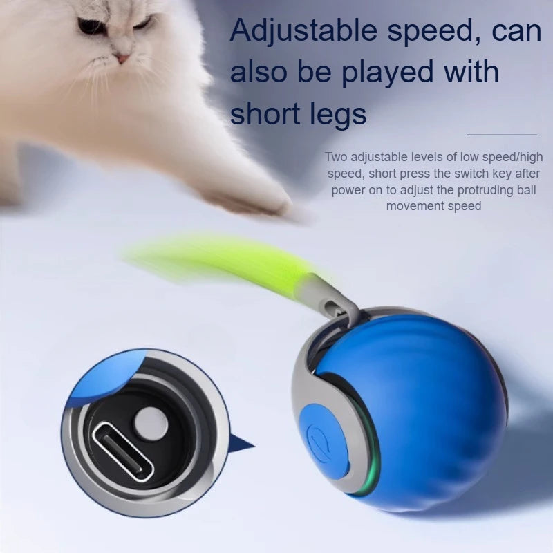 Cats Interactive Ball Toys