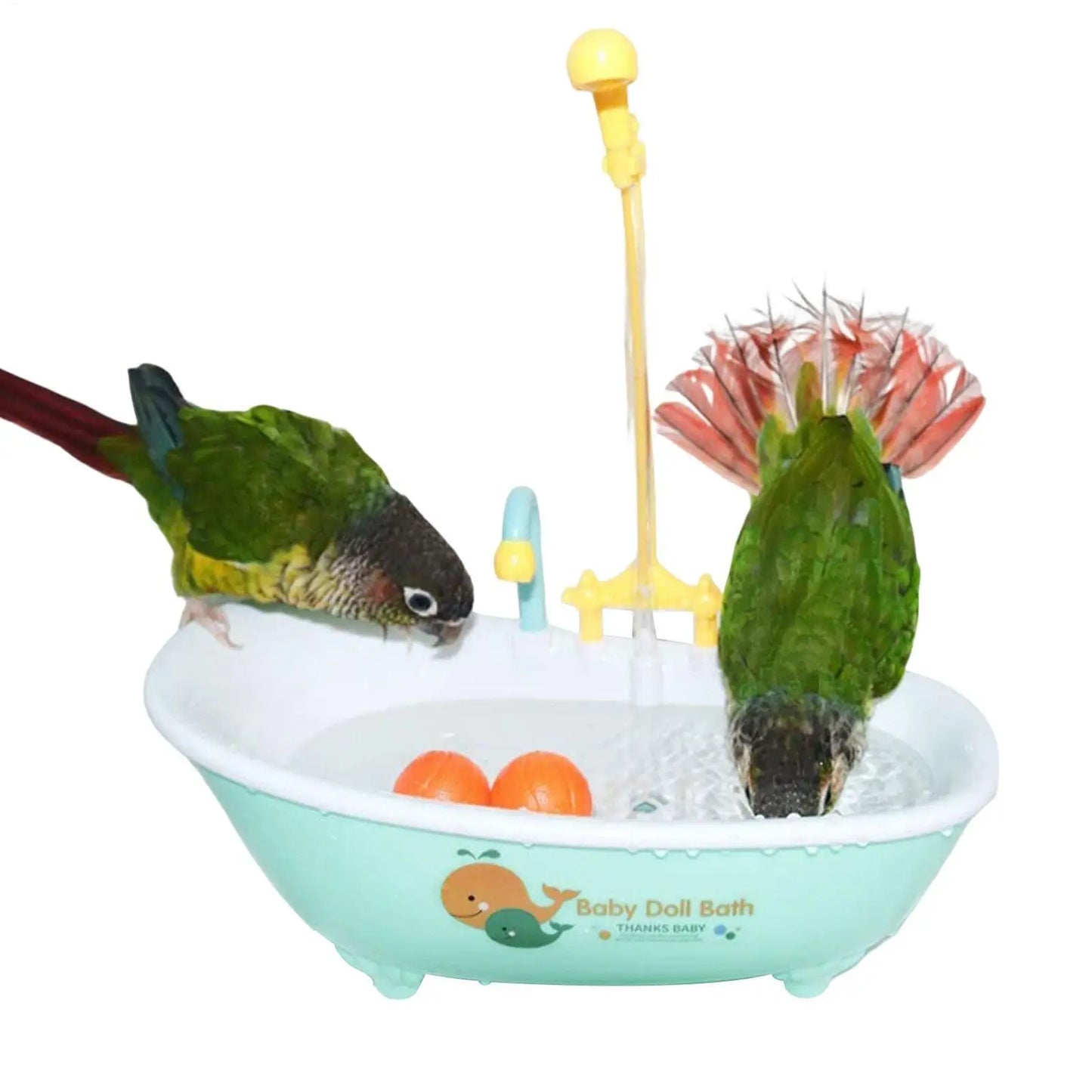 Bird Bathtub Parrot Bath Fountain Bird Parrot Bird Shower Bathing Tub Pet Pool Birdbath Bowl Pet Bird Bath Basin Parrot Basin