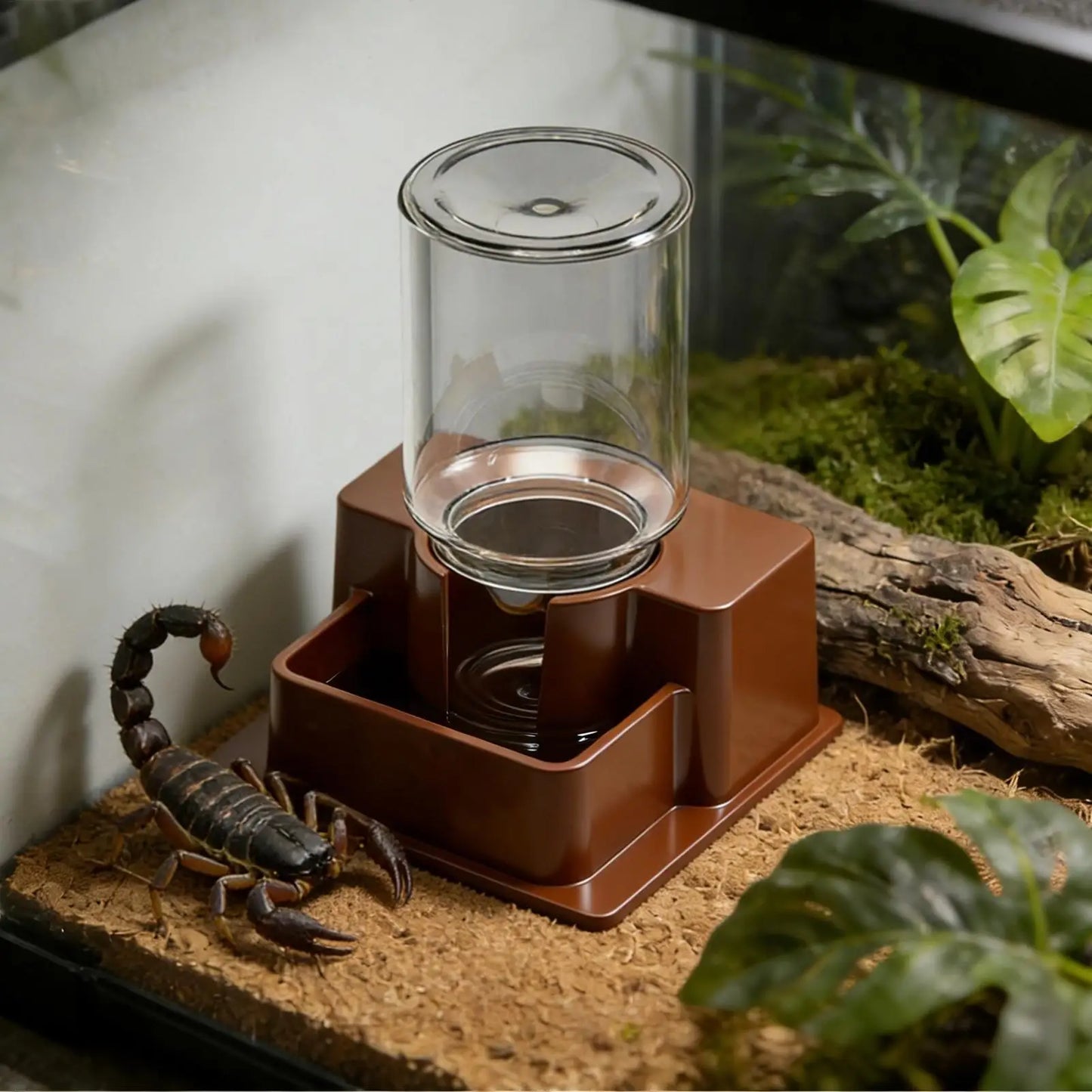 Reptile Water Fountain Automatic Detachable Reptile Bowl Chameleon Water Dripper Tortoise Feeder for Lizard Chameleon Snake Frog