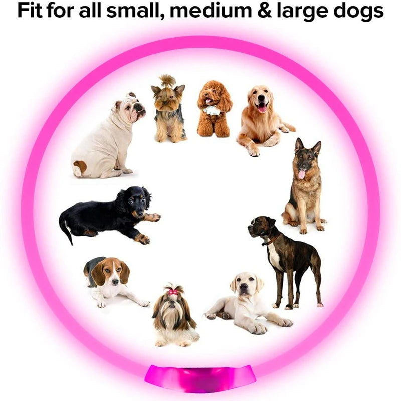 PetGlow LED Dog Collar - USB Rechargeable Night Safety