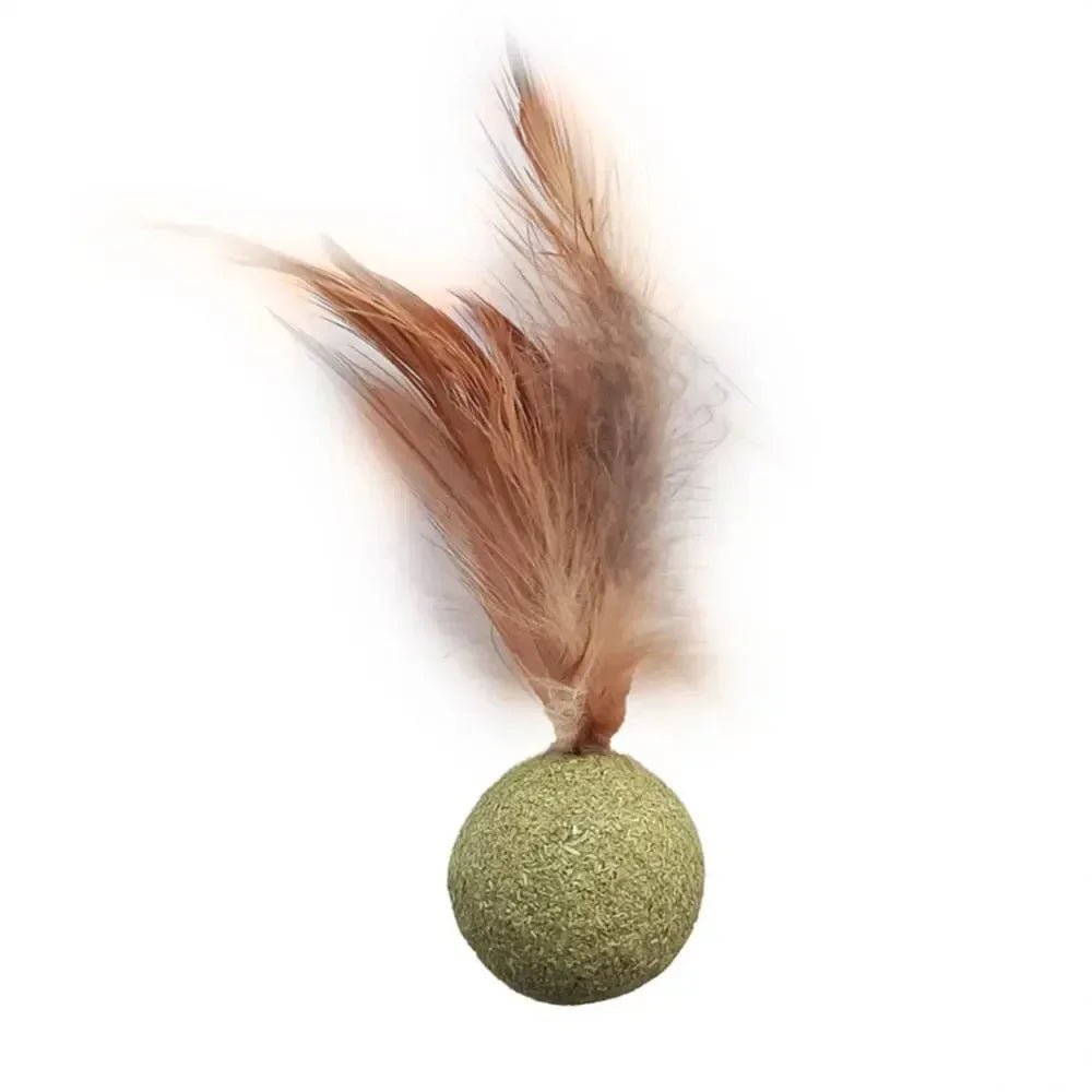 Title (SEO, ≤40 chars): Edible Catnip Ball Toy Mint Infused Cats