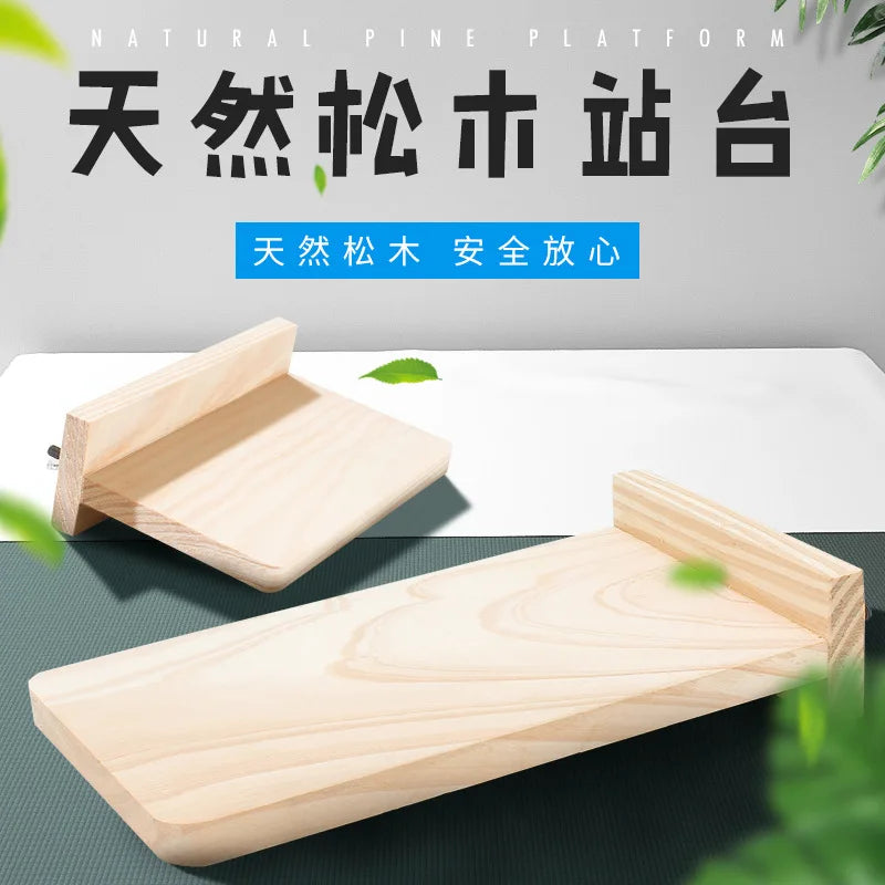 Bird Perch platform