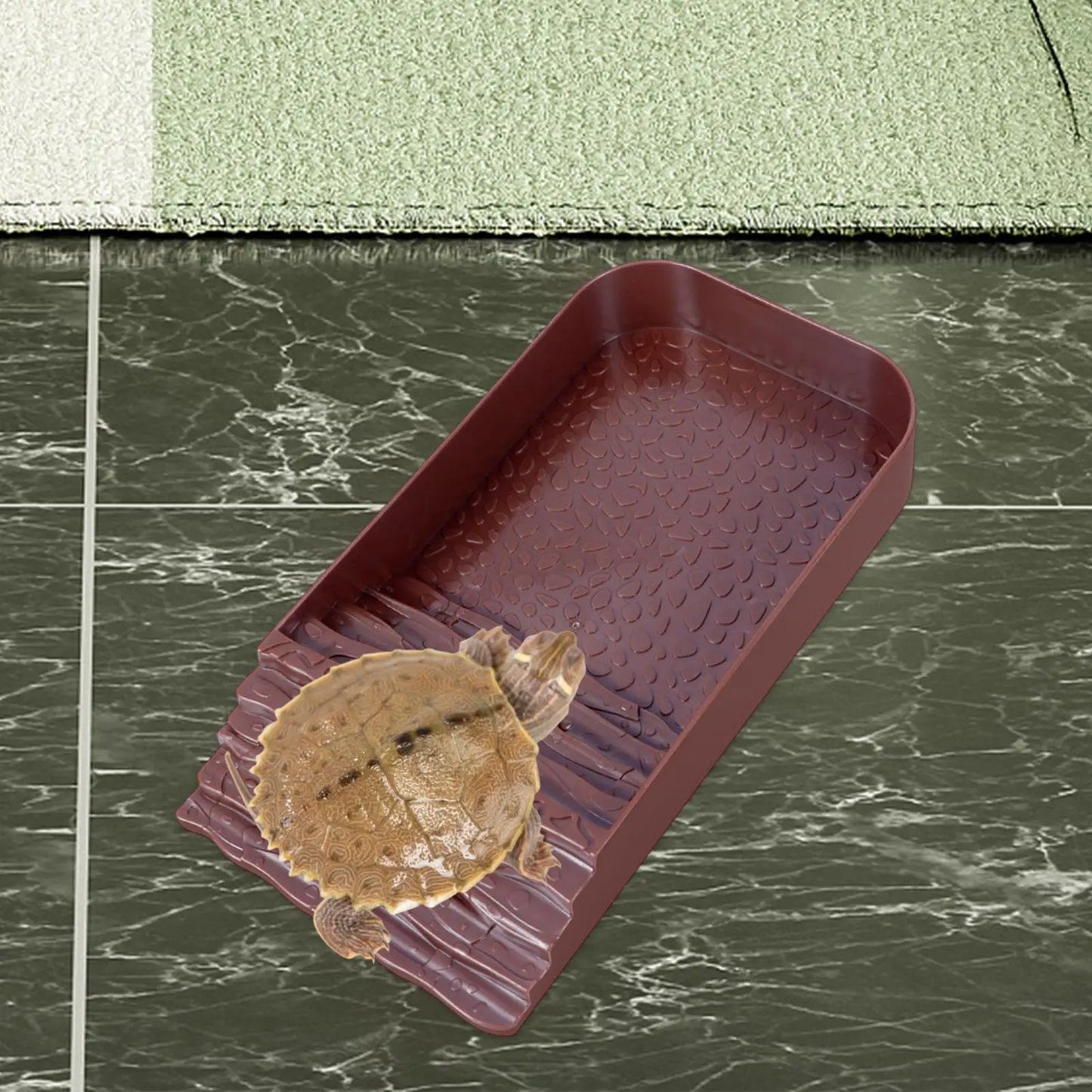 Reptile Water Bowl Accessories Reptile Pool for Tortoise Chameleon Scorpion