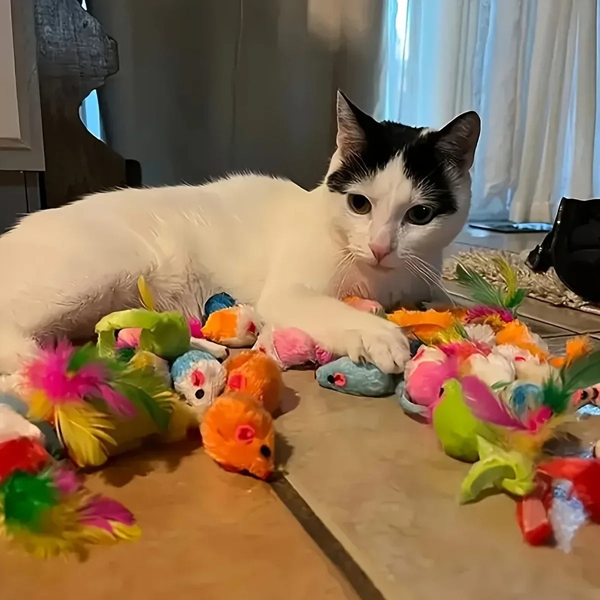 56pcs/28pcs/14pcs Cat Toys Mixed Pack.