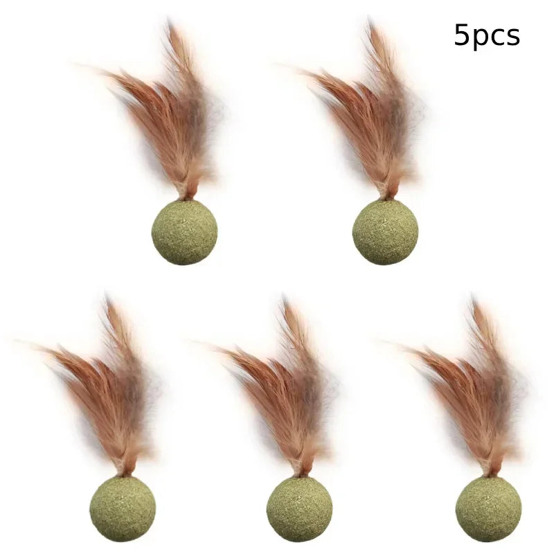 Title (SEO, ≤40 chars): Edible Catnip Ball Toy Mint Infused Cats