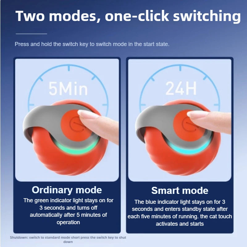 Cats Interactive Ball Toys