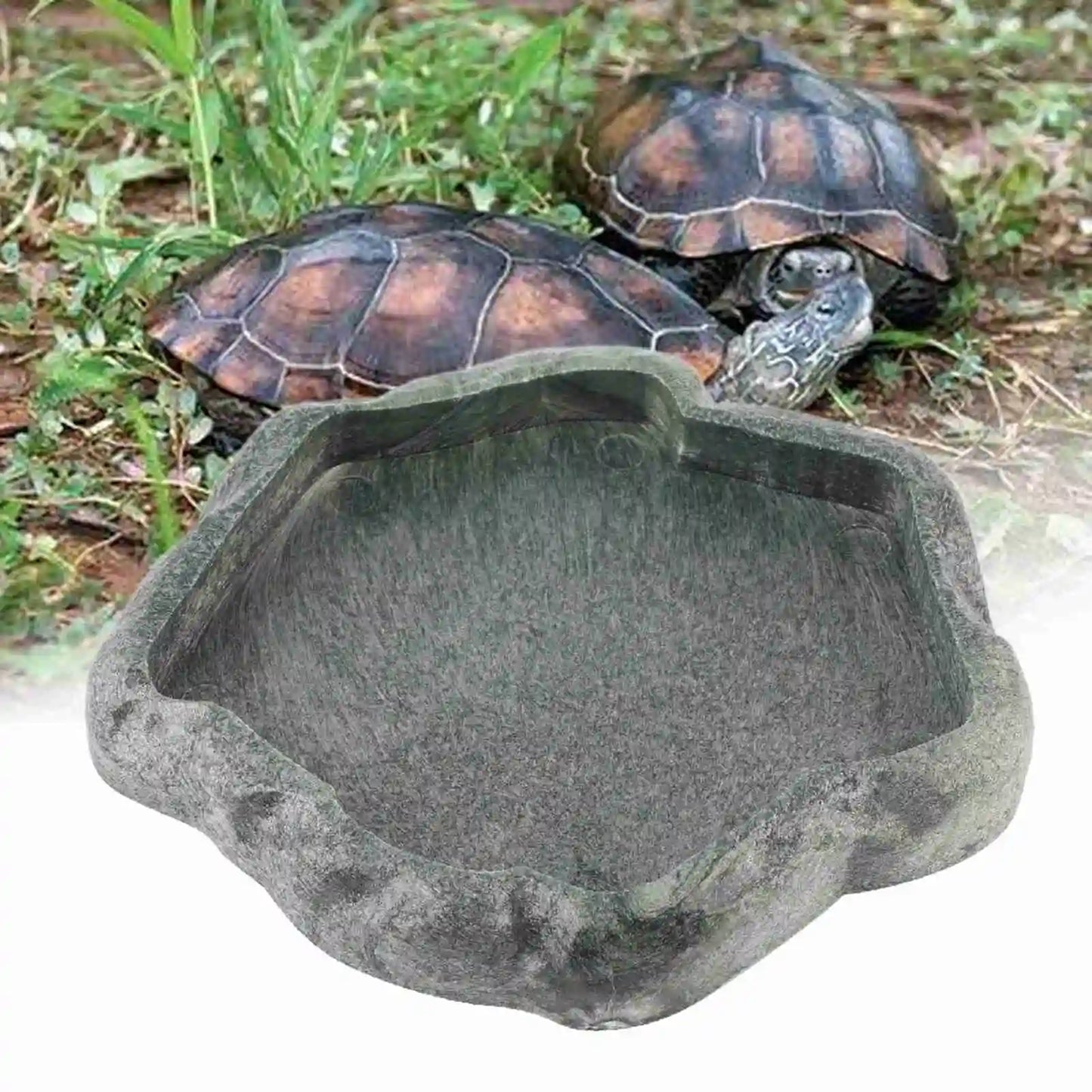 ABS Resin Durable Reptile Rock Food and Water Dish Feeder Bowl for Tortoise Lizard