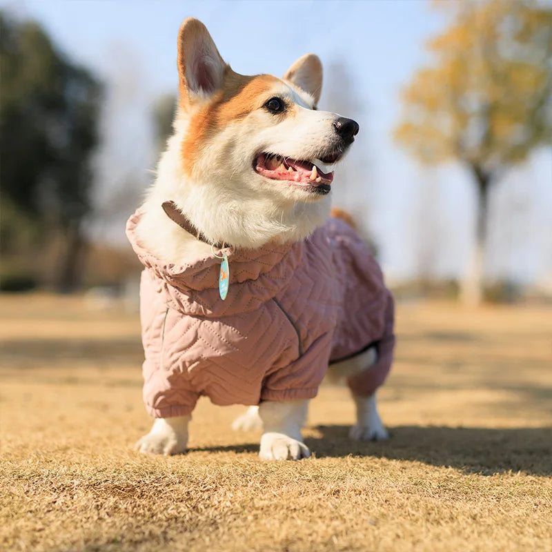 Waterproof Cotton Padded Dog Coat Winter Jacket Windproof For Four Legged Dogs Greyhound Corgi Chihuahua