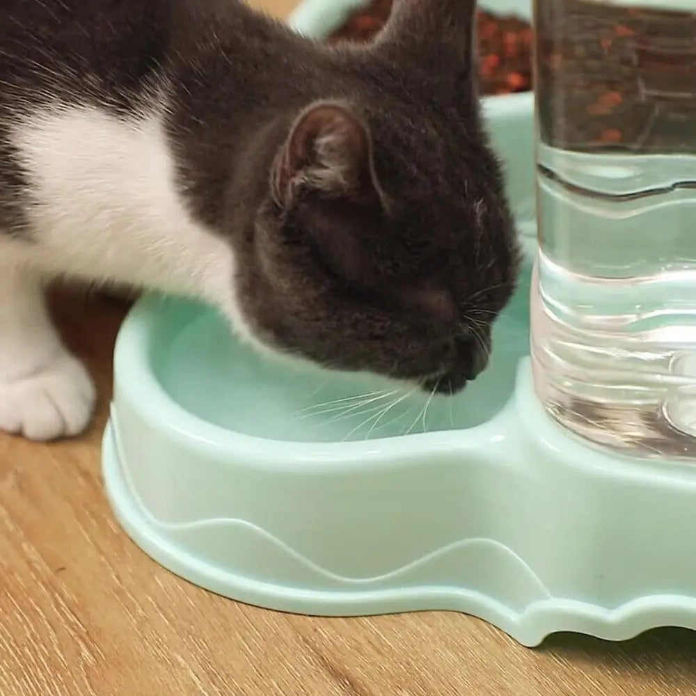 New Pet Supplies Cat Feeding Dog Food Dispenser Pet Feeder Corner Dog Bowl Drinking Bowl