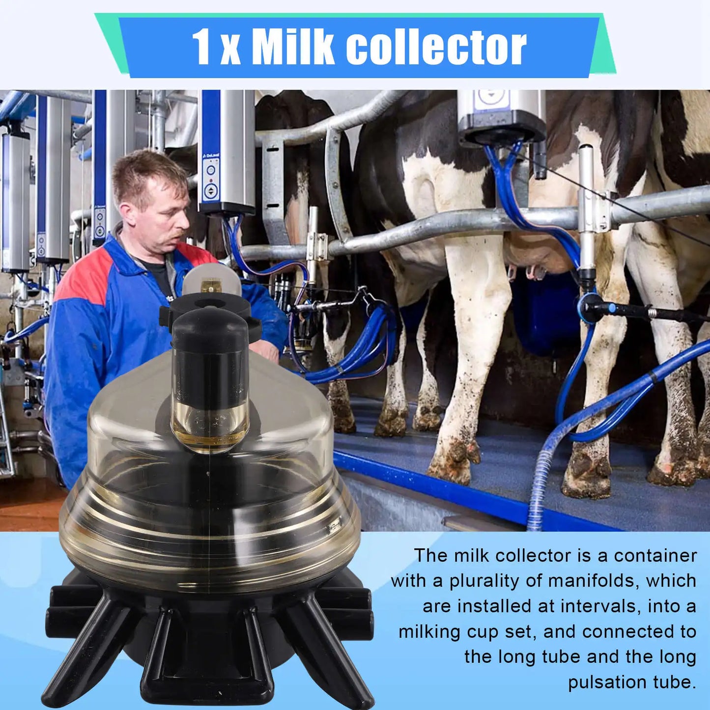 A36T-Milking Claw 150Cc Bevel Cow Milk Collector Milking Machine Cow Use Milking Claw Milk Collector  For Cow Milking Machine