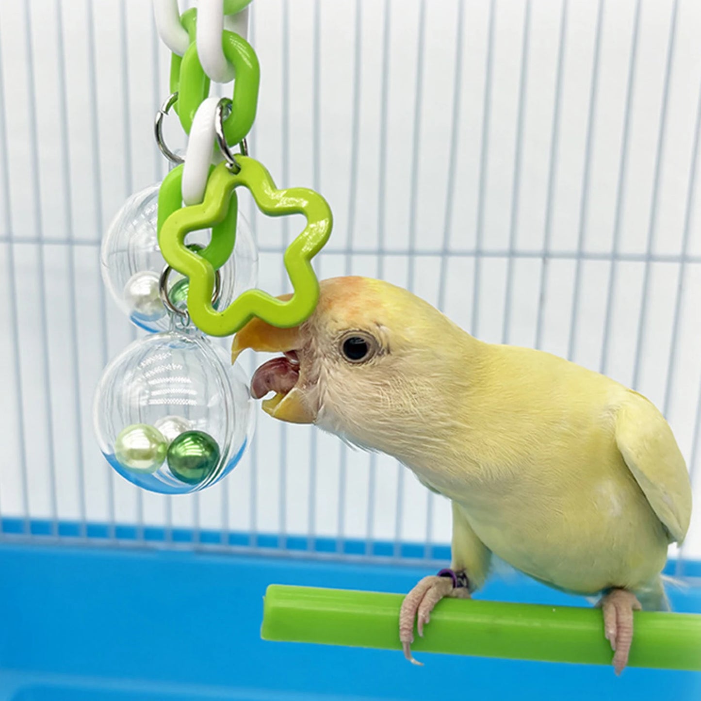 Parrot Toy With Colorful Bead Hanging Ball Transparent Chewable Climbing Accessory For Bird Cage Small Pet Bird Interactive Play