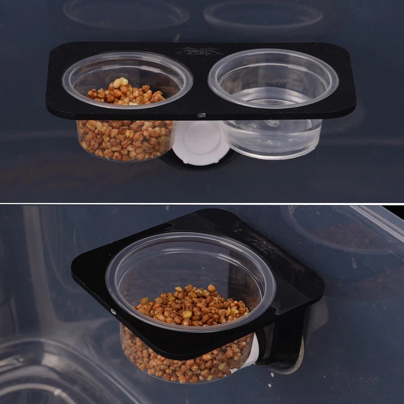Reptile Suction Cup Feeder Bowl