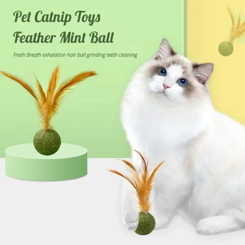 Title (SEO, ≤40 chars): Edible Catnip Ball Toy Mint Infused Cats