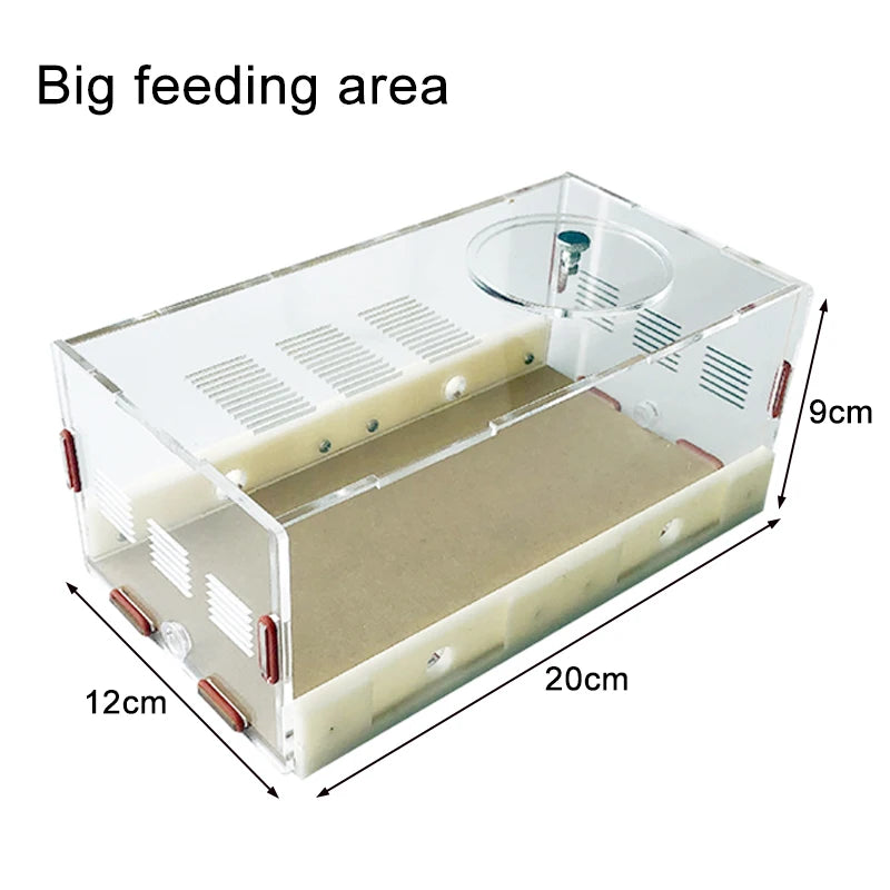 Acrylic Ant Farm Unlimited Expansion.