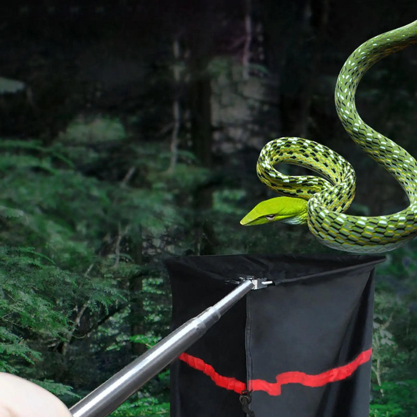 Telescopic Snake Catcher Net
