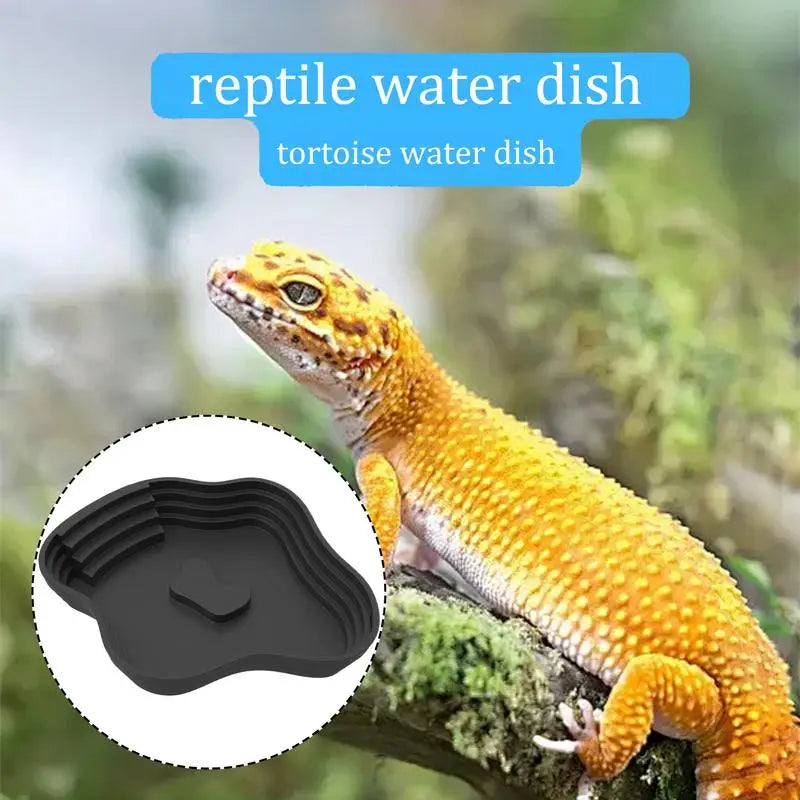 Reptile Water Dish Turtle Bathing Basin Frog Bathing Basin Can Be Used As Food Bowl And Water Basin For Reptiles & amphibians