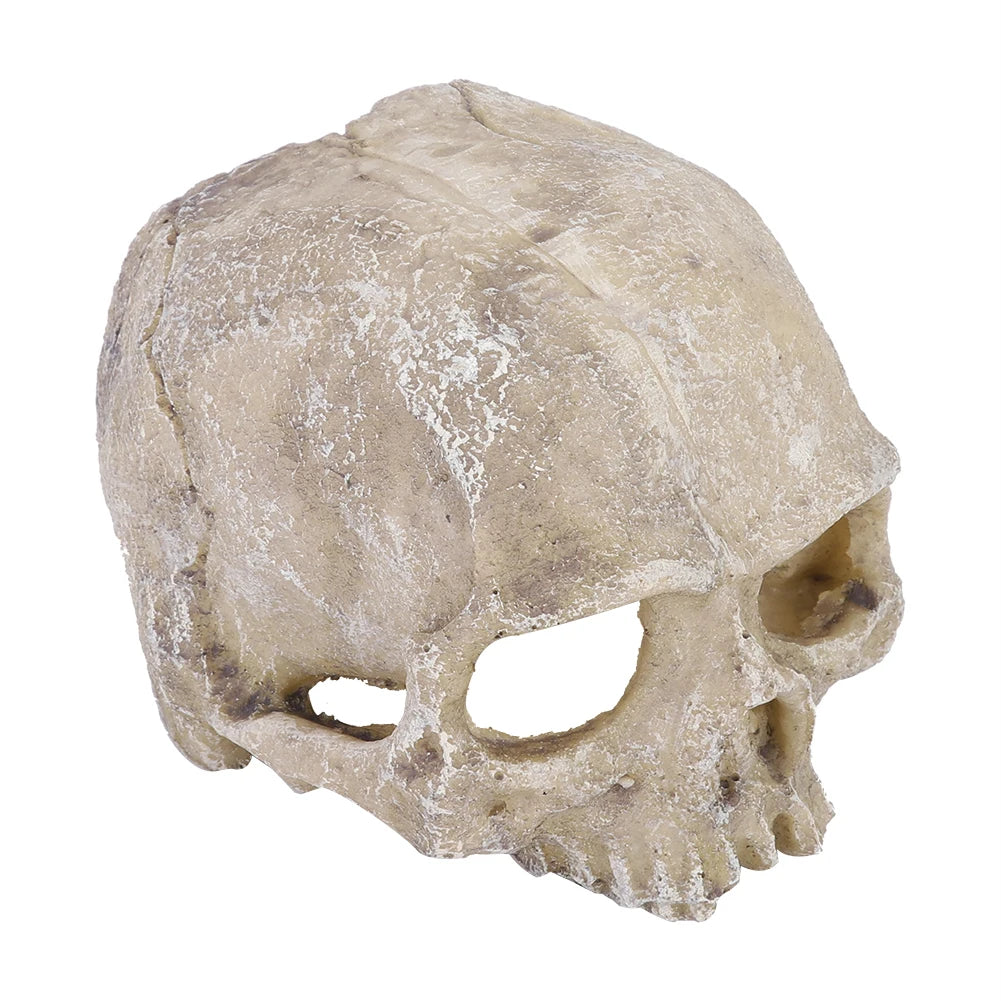 TOPINCN Skull Hideout Resin Statue Reptile Cave Decor